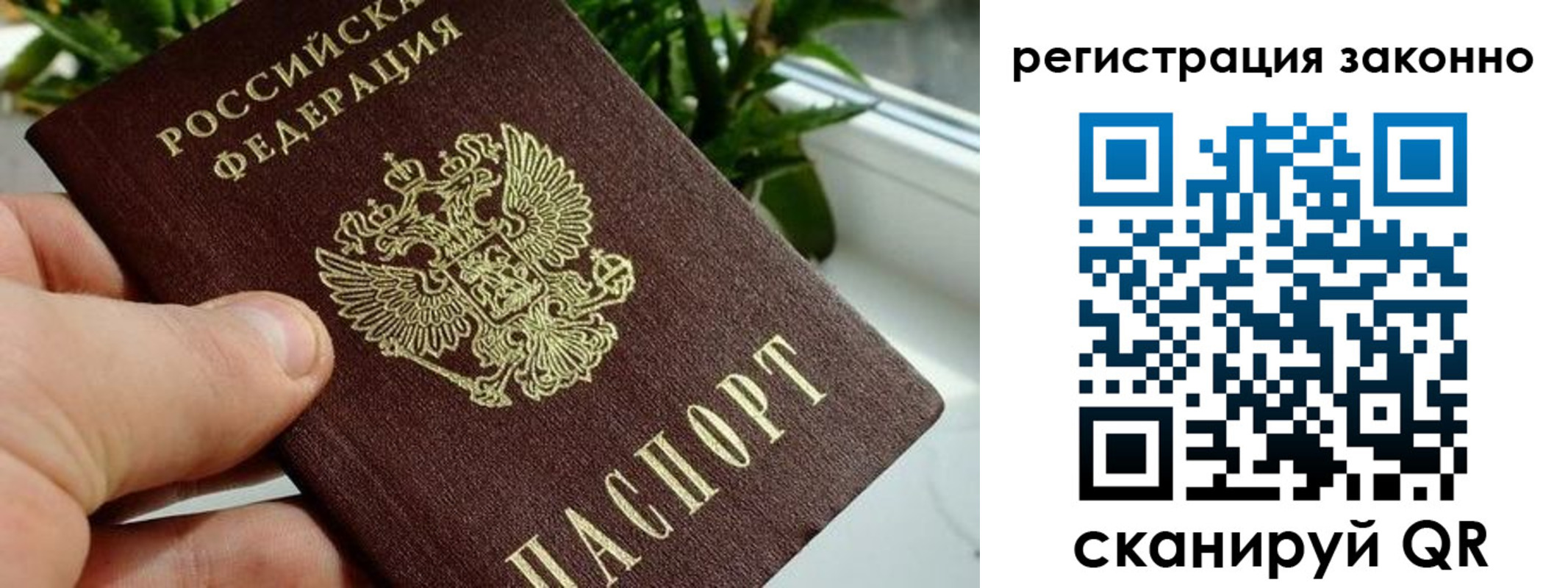 прописка гарантия в Покрове